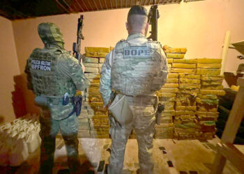 Com 326 toneladas, Paraná lidera apreensão de drogas no Brasil em 2024