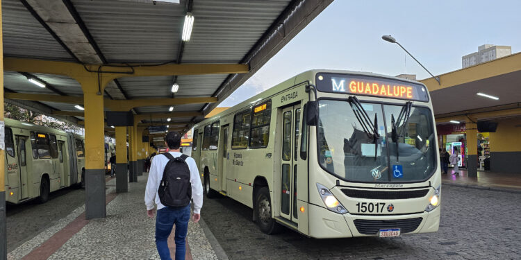 Transporte coletivo da Região Metropolitana de Curitiba será gratuito na eleição