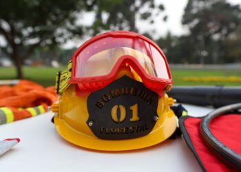 Capacitação de 600 brigadistas para combate a incêndios começa na próxima terça