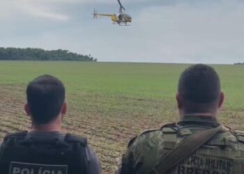 PF e Polícia Militar do Paraná apreendem mais de 400 kg de maconha