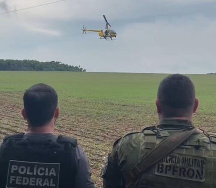 PF e Polícia Militar do Paraná apreendem mais de 400 kg de maconha