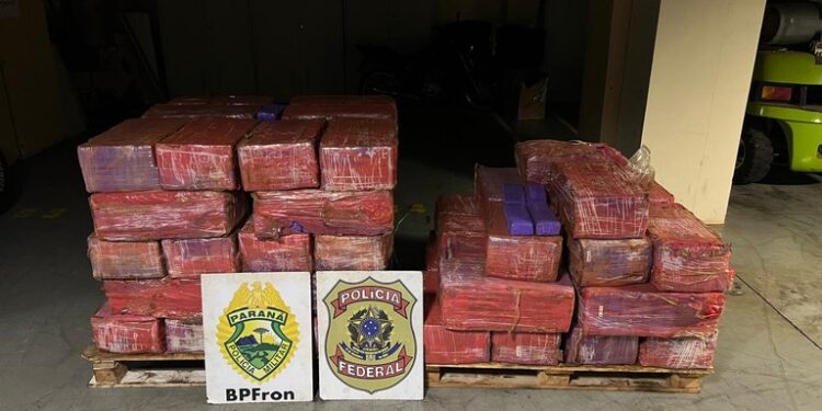 PF e BPFRON apreendem 1.210 kg de maconha