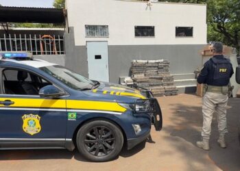 PRF apreende quase 750 kg de maconha escondidas em móveis no Paraná