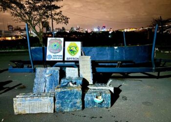 Ação conjunta entre PF e PM apreende mais de 200 kg de maconha