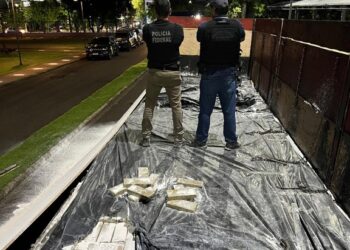 PF prende motorista transportando mais de 1,7 tonelada de maconha em fundo falso