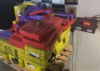 PF e BPFRON apreendem 633 kg de maconha e recuperam veículo roubado