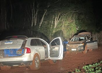 PF e BPFRON apreendem 2.830 kg de maconha