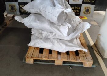 PF e BPFRON recuperam veículo roubado e apreendem 129 kg de agrotóxicos