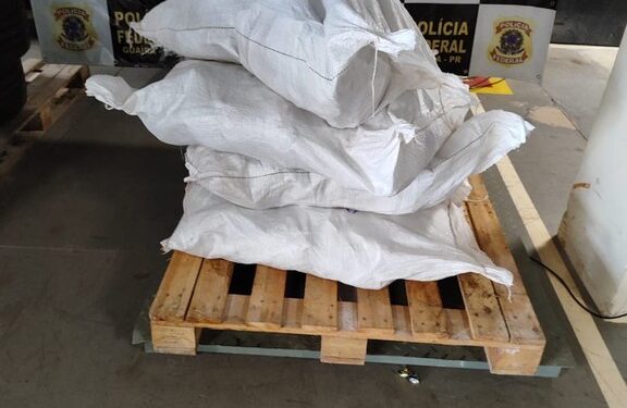 PF e BPFRON recuperam veículo roubado e apreendem 129 kg de agrotóxicos
