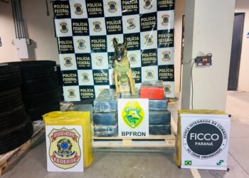 FICCO/PR e BPFRON apreendem mais de 300 kg de drogas