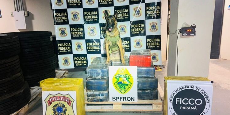 FICCO/PR e BPFRON apreendem mais de 300 kg de drogas