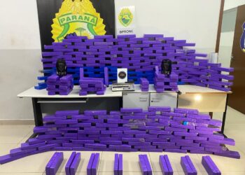 RONE encontra mais de 300 quilos de maconha no Osternack