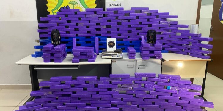 RONE encontra mais de 300 quilos de maconha no Osternack