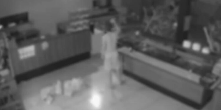 Durante furto a restaurante, ladrão faz pausa para comer, veja o vídeo