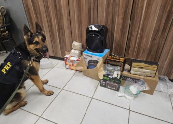 Com cães farejadores, PRF apreende maconha e metanfetamina em encomendas enviadas pelos Correios