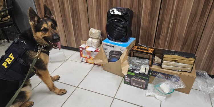 Com cães farejadores, PRF apreende maconha e metanfetamina em encomendas enviadas pelos Correios