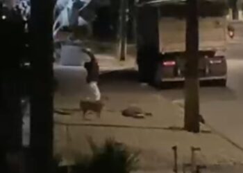 Guarda Municipal prende criminoso com várias passagens pela polícia que quase matou moradora de rua