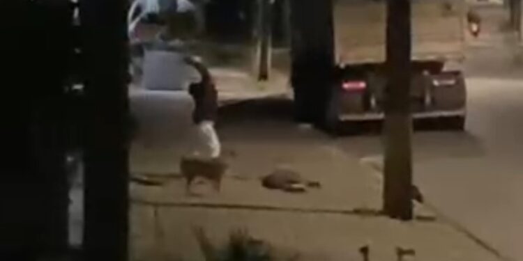 Guarda Municipal prende criminoso com várias passagens pela polícia que quase matou moradora de rua