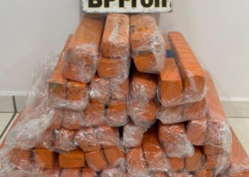 Polícia Militar aborda ônibus e encontra malas recheadas com maconha