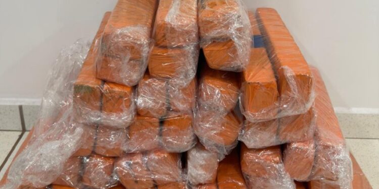 Polícia Militar aborda ônibus e encontra malas recheadas com maconha