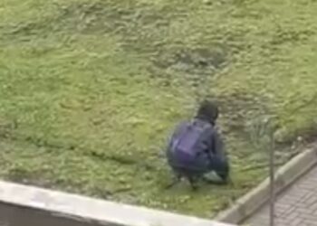 Criminosos desenterram fios durante furto ao lado de via movimentada de Curitiba; moradora flagrou a ação e chamou a polícia