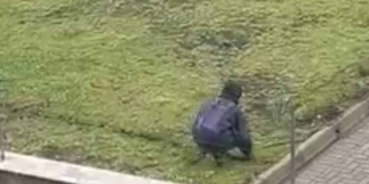 Criminosos desenterram fios durante furto ao lado de via movimentada de Curitiba; moradora flagrou a ação e chamou a polícia