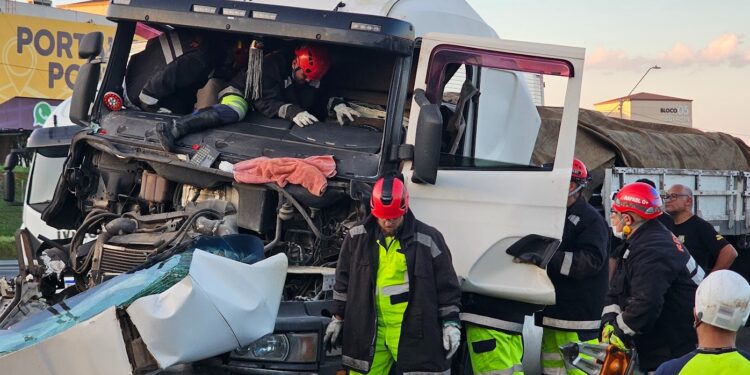 Motorista de carreta que perdeu a vida em colisão no Contorno Leste é identificado