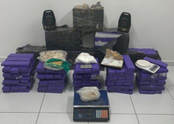 RONE apreende grande quantidade de drogas em São José dos Pinhais
