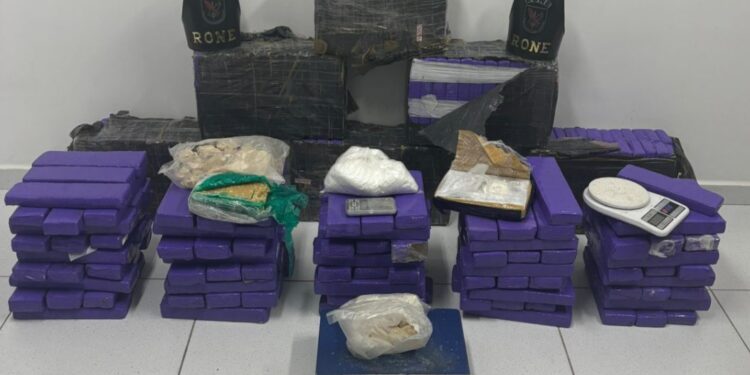RONE apreende grande quantidade de drogas em São José dos Pinhais