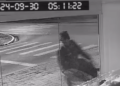 Criminosos invadem loja e furtam bebês reborn em Curitiba