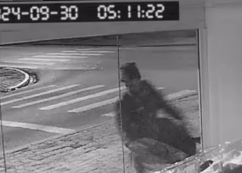 Criminosos invadem loja e furtam bebês reborn em Curitiba