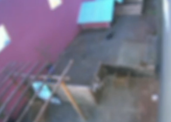 No Paraná: Menino de 9 anos invade hospital veterinário e mata 23 animais