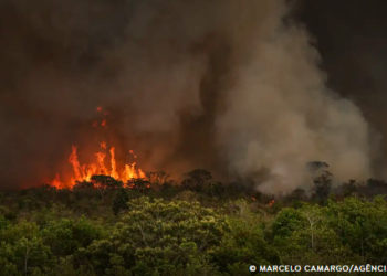 Brasil tem 22,38 milhões de hectares atingidos pelo fogo em nove meses