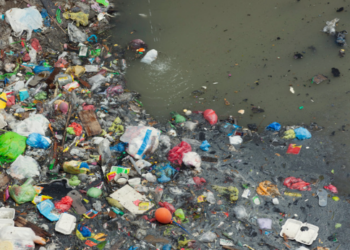 Brasil lança por ano 1,3 milhão de toneladas de plástico no oceano