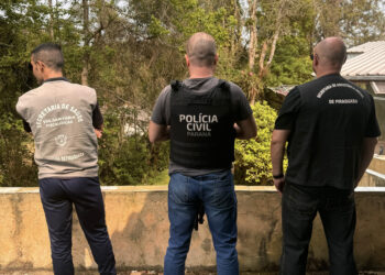 PCPR e Prefeitura interditam asilo clandestino em Piraquara