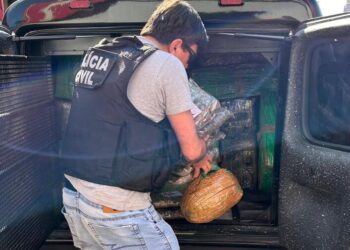 PCPR incinera drogas no Paraná