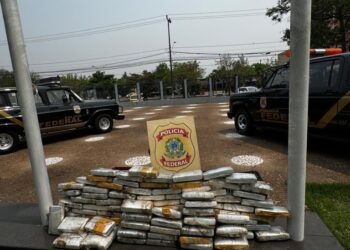 PF prende motorista por tráfico de drogas no Paraná; caminhão tinha mais de 100 kg de entorpecentes