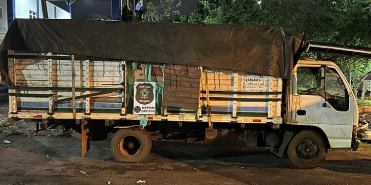 PF apreende caminhão transportando caixas de cigarros contrabandeados