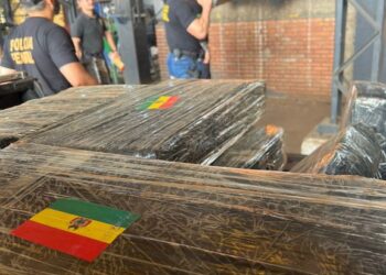 PF incinera cerca de 1,3 tonelada de drogas no Paraná