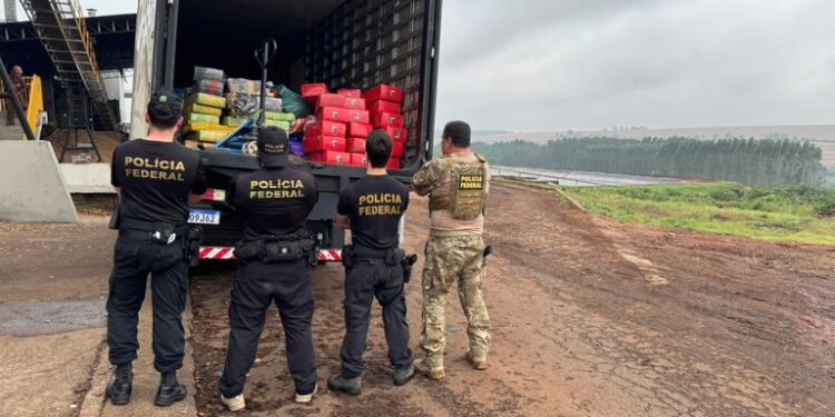 PF incinera aproximadamente 11 toneladas de drogas