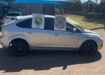 PF em ação conjunta com BPFRON e BOPE apreendem veículo carregado com 303,5kg de maconha