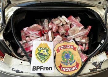 PF e BPFron apreendem 93 kg de maconha