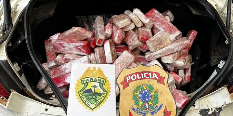PF e BPFron apreendem 93 kg de maconha