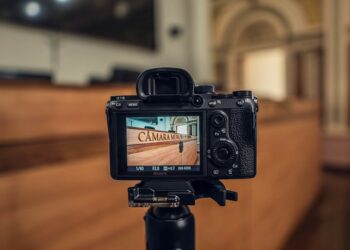 Com 12 vereadoras, bancada feminina será recorde em Curitiba