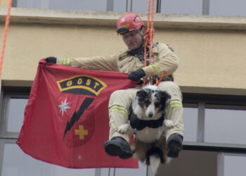 Corpo de Bombeiros simula resgate em altura e chama a atenção no centro de Curitiba