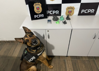 PCPR e PMPR prendem duas pessoas por tráfico de drogas e associação para o tráfico em São Mateus do Sul