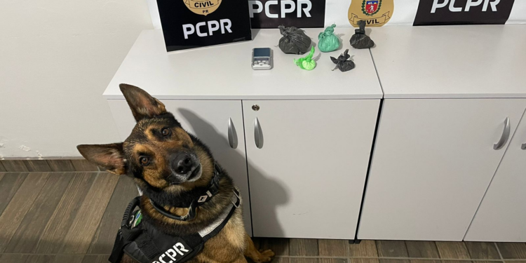 PCPR e PMPR prendem duas pessoas por tráfico de drogas e associação para o tráfico em São Mateus do Sul