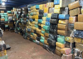Polícia Civil do Paraná apreende 11 toneladas de maconha