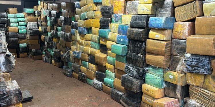 Polícia Civil do Paraná apreende 11 toneladas de maconha