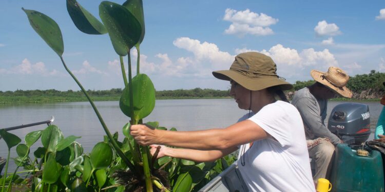 Startup apoiada pelo Estado é uma das 20 empresas do mundo que participarão da COP16